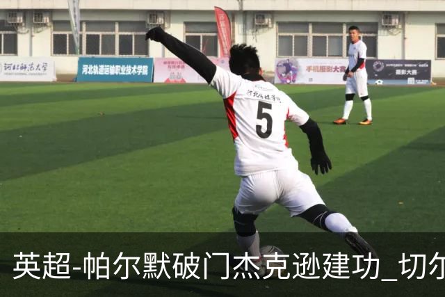 英超-帕尔默破门杰克逊建功 切尔西2-1纽卡斯尔